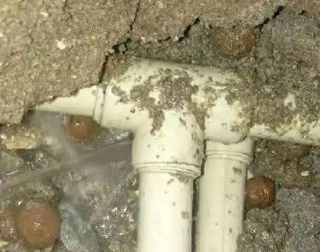 新疆测漏水多少钱